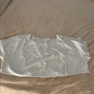 Aerie Gray Crop Top